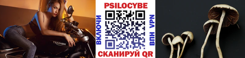 где найти наркотики  Болгар  Галлюциногенные грибы Magic Shrooms 